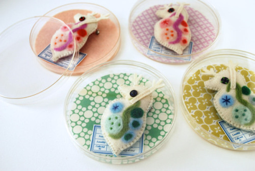 inkmaps:staceythinx:Felt specimens from Hiné Mizushima’s Unnatural History Museum.OMG