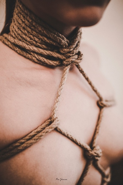 max-johansson:diamond chest harness  縛り  Shibari