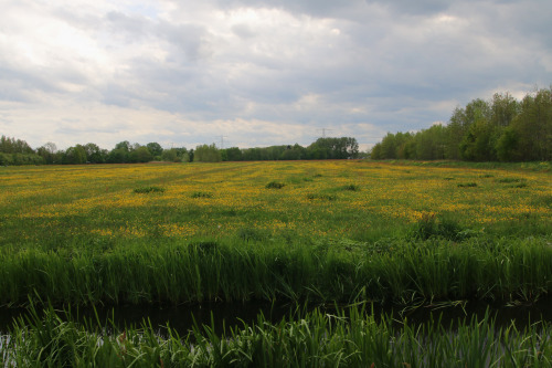 geritsel:Sunday afternoon stroll