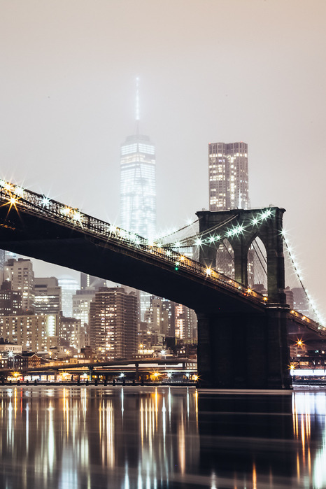 aguysmind:  The Brooklyn Bridge and One World porn pictures