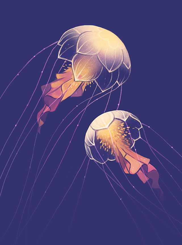 ousia-poetica:There are things that we think are in a way because of the form and
