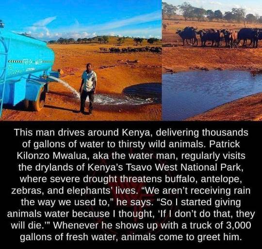 A true homie