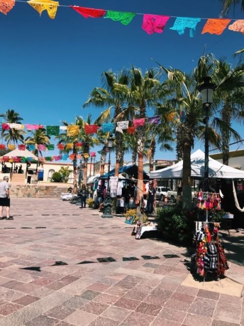 Todos SantosMexico, March 2018We took a day trip to Todos Santos. A small town just a couple hours d