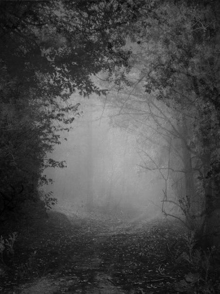 petermorwood:  wurmwood:  X  Photos so atmospheric you can squeeze the moodiness from them like juice from a lemon. I can, anyway… 