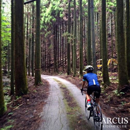 deepsection: youcantbuyland: “#arcus_rc #arcusridingclub #아커스라이딩클럽 #roadtour #roadcycle #cycle #c