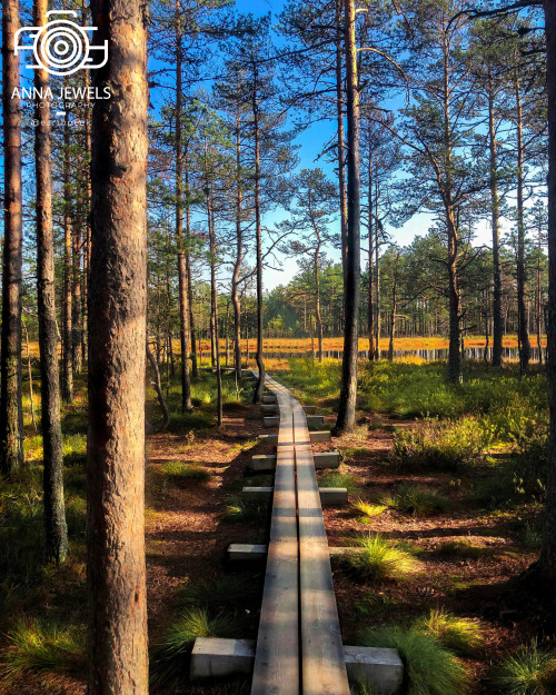 Lahemaa National Park - Estonia (by Anna Jewels (@earthpeek)) https://www.instagram.com/earthpeek/