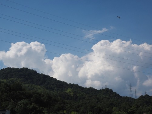 Windmill Cloudy, A Bird was Flying In the Sky In Asari Beach Gotsu-city and Mt.Mitaki Hiroshima-city
