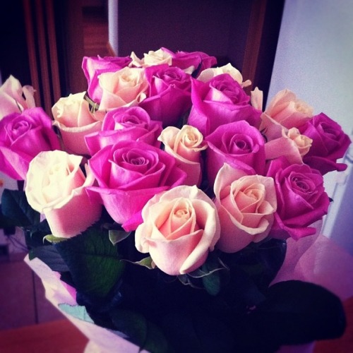 camillediamonds:  ♦