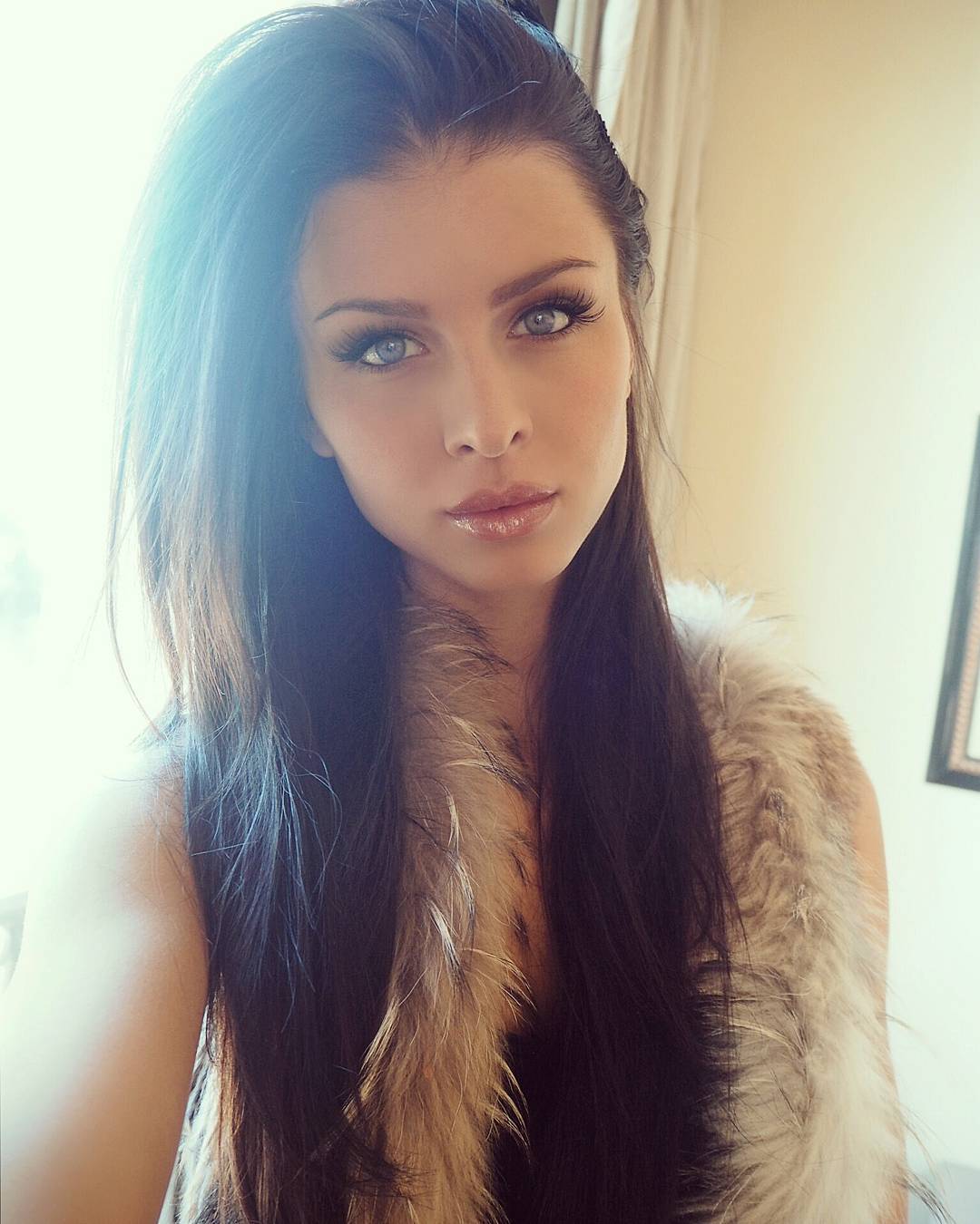 ExoticDimes