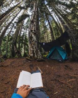 was-ka:  This is where that one elk chewed my boots…smh  #dirt #camp #tent #redwoods #glaciermeadows #book #rainforest #rain #peaceful #backpacking #outdoors