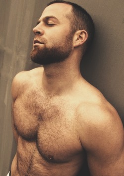 hot4hairy:  H O T 4 H A I R Y  Tumblr |