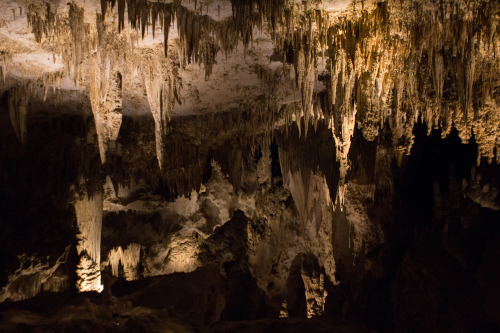 lesterbblack:A Gothic ceiling in Carlsbad Caverns.