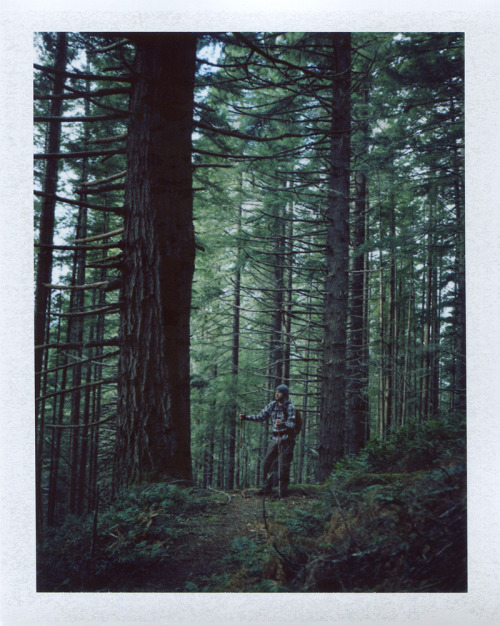 mikescofield:  I took my polaroid hiking today!