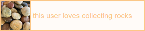 this user loves collecting rocks