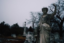 freckle-fart90:  Oakland cemetery 