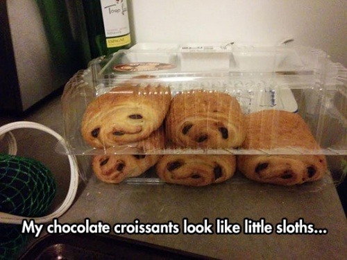 cumslutt:  lolshtus:  Chocolate Sloths  the-light-arro 