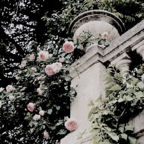 @modernmythsnet | Event Twenty Two | Poetry | Natural Philosophy↳ Persephone It was odd, she th