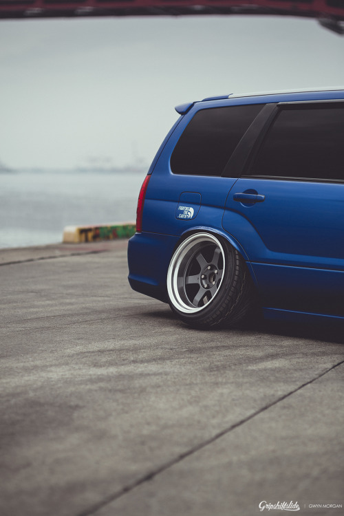 timetochaing:    ♡ FORESTER ♡