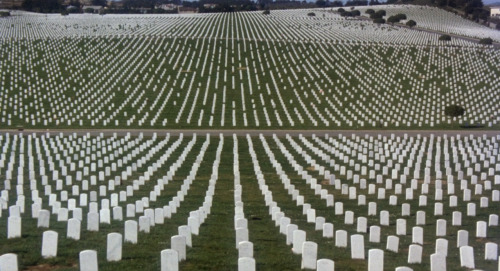 filmap:Harold and MaudeHal Ashby. 1971CemeteryNational Cemetery, Sneath Lane, San Bruno, CA 94066See