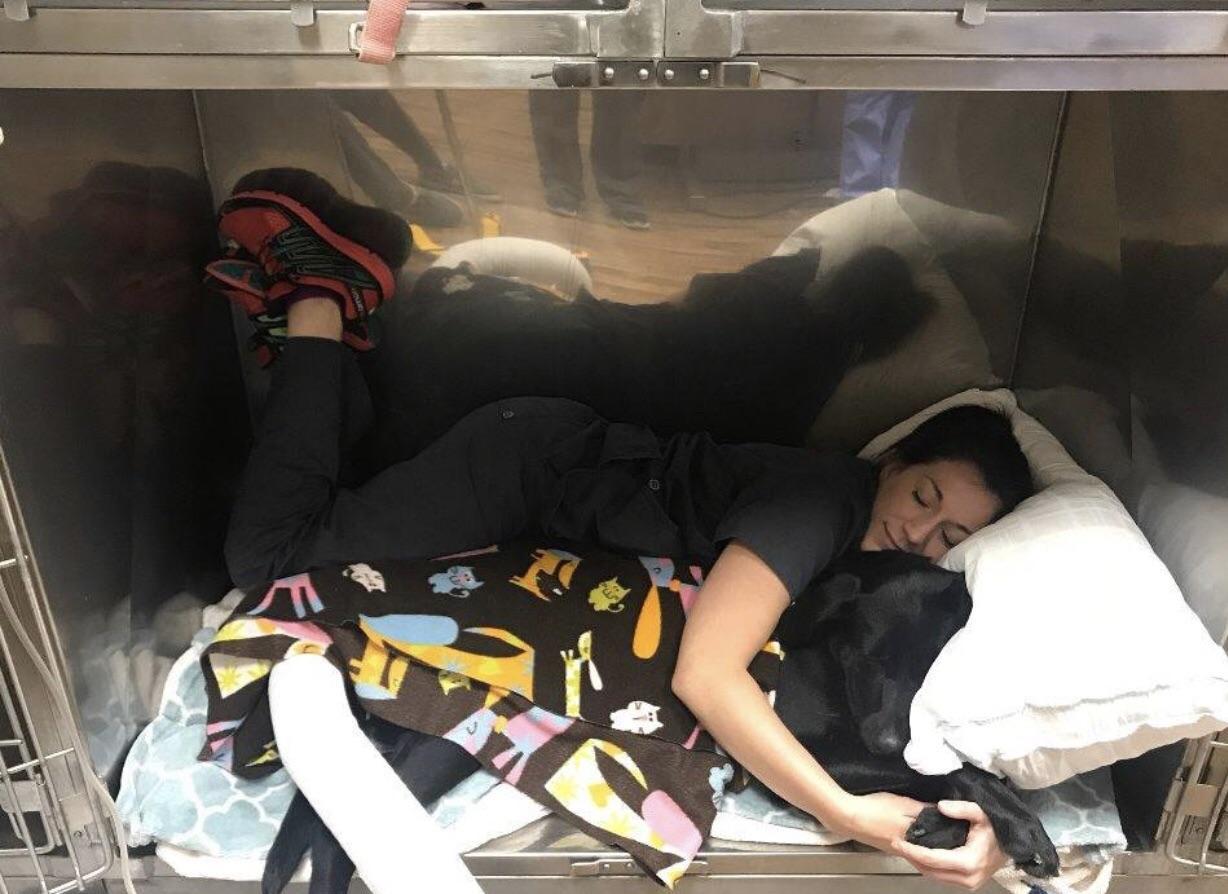 awwww-cute:  We really take post op care seriously at my job. Cuddles is the best