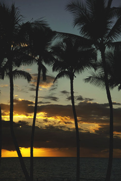 luxuryera:  Maui Sunset | Photographer