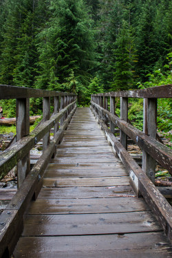 colourofthepast:  wanderthewood:  Mount Baker-Snoqualmie National Forest, Washington by xaben     Tumblr  | Instagram   