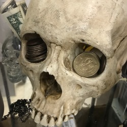 parliamentrook: parliamentrook: the money skull, reblog for money and or skulls reblogs my own post because I need both right now 