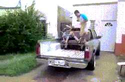 funnynhilariousgif:  How to exit the back of a pickup truck &gt;&gt;