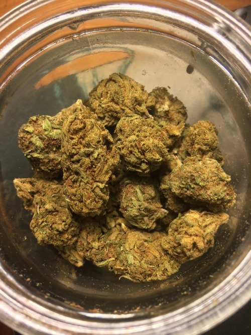 excentrifugal-forz:  Digging into my new half of Super Silver Haze…where do I begin?