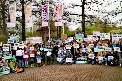 100 Personen haben sich an der Mahnwache für die im Erlebnis-Zoo Hannover vom freiwilligen PETA ZWEI