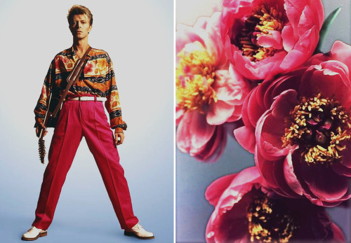 david-bowie-flowers: (1989)gallery tags (x)