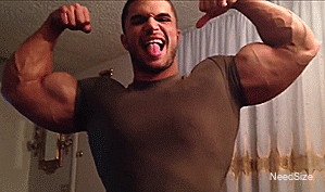 Muscle Motivation