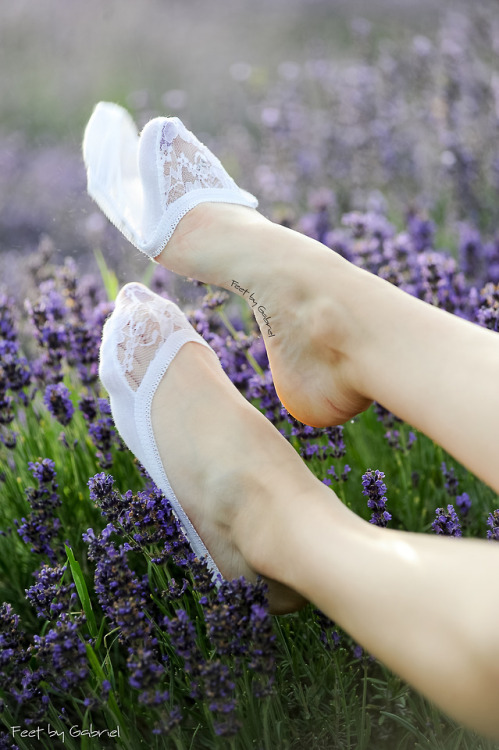 Lavander foot