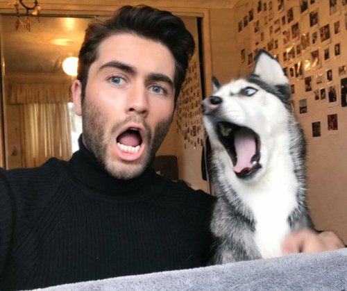 lazycheskie:  enemafrostofficial: When your familiar and you are on point the dog looks like a fucking disney pixar talking dog 