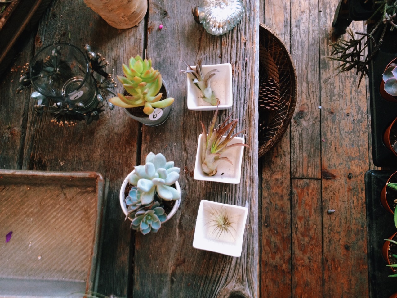 paulinenguyen:  The Stem / January 2014 / Toronto