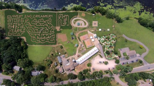 It’s insane how many corn mazes there are in New England. But we’ve whittled ‘em d