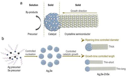  A pathway to high-quality ZnSe quantum wiresOne-dimensional semiconductor nanowires with strong qua