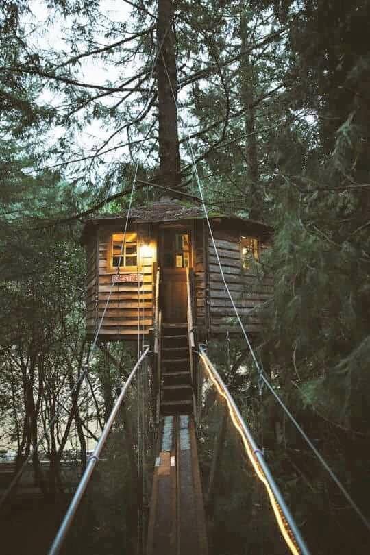 Cabin in the Woods