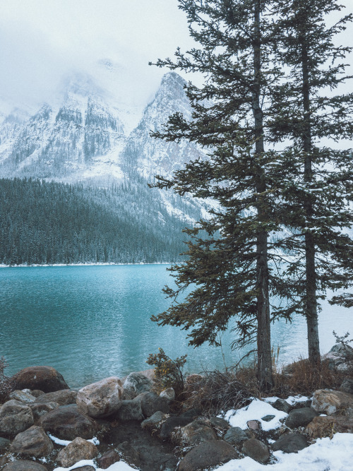 vvnnie:Banff pt.2 // Instagram / Website