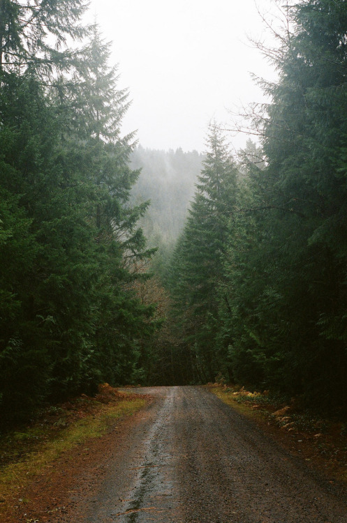  nature & vintage blog         