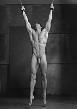 darkbatstyle:  Perfect for abusing. #male beauty #nude #cock #nsfw