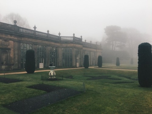 theatticoneighth:Christmas at Lyme Park 