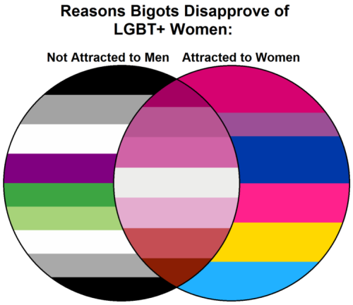 lesbie-vague: I made a handy diagram that might help out some of the exclusionists who insist aro an