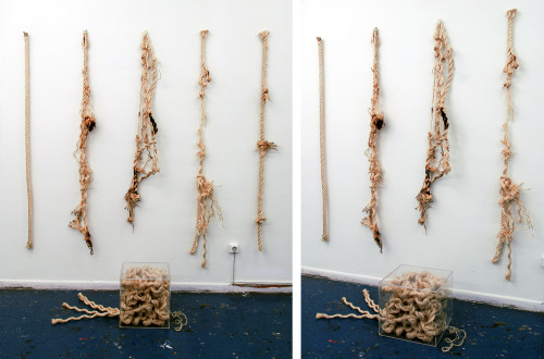 The Recycling Of Human Traumas, 07, sculpture/installation, variable dimensions, rope & fiber gl