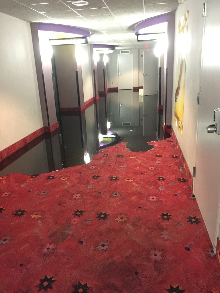 blackbearthoughts:  iceotopia:  why this look like the entrance to a boss battle