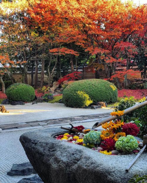 妙顕寺庭園 [ 京都市上京区 ] Myoken-ji Temple Garden, Kyoto の写真・記事を更新しました。 ーー京都で最初の日蓮宗寺院で見られる複数の庭園。 #尾形光琳 ゆかりの“光