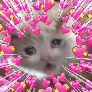 Happy Birthday!!! You Get A Picture Of My Cat