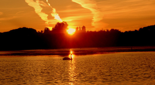 Sunset on Swan Lake (explored) by Matt Burke on Flickr.