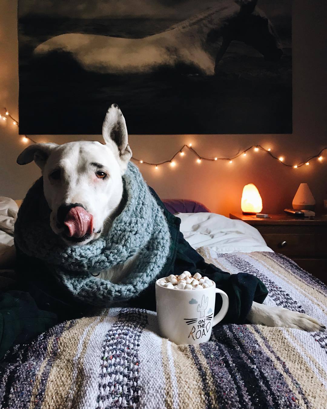grace–upon–grace:  @stuffhannahdoes.