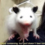 brianprobablywill